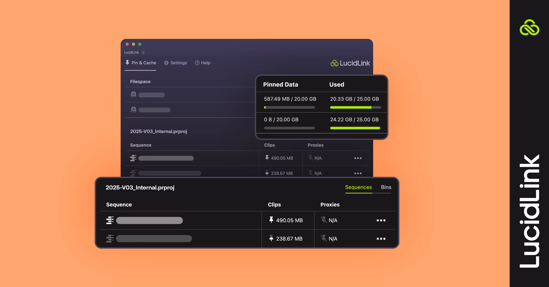 LucidLink pin and cache